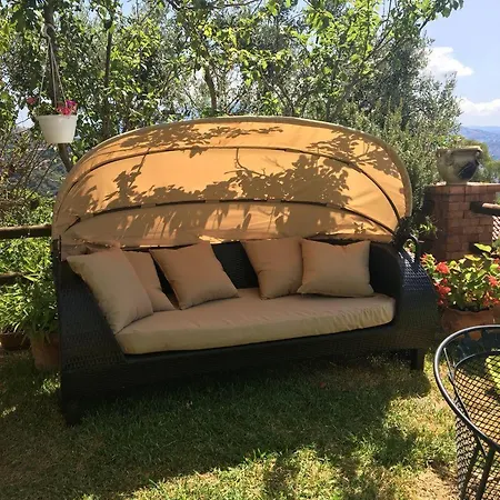 Casa Teresina *